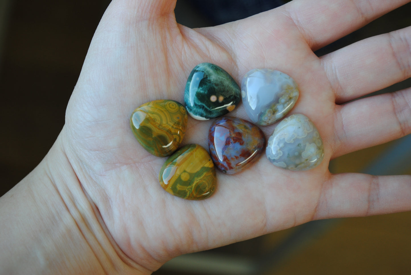 20mm trillion Ocean Jasper cabochons