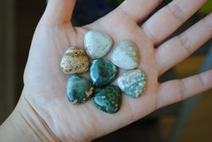 20mm trillion Ocean Jasper cabochons