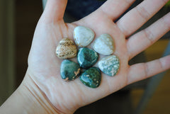 20mm trillion Ocean Jasper cabochons