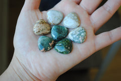20mm trillion Ocean Jasper cabochons