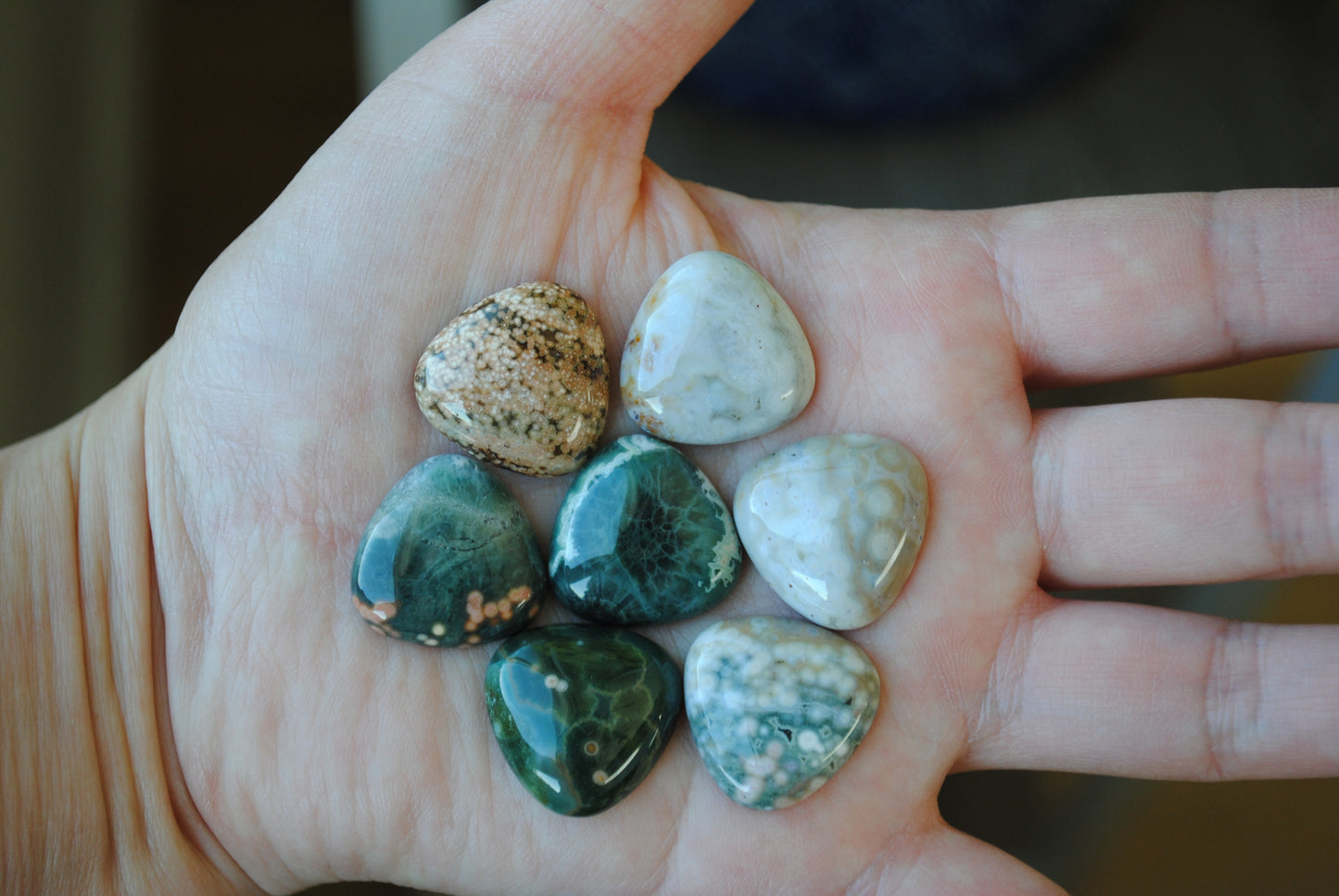 20mm trillion Ocean Jasper cabochons