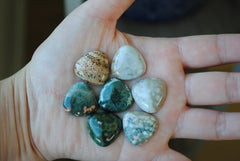 20mm trillion Ocean Jasper cabochons