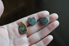 Ammonite cabochons