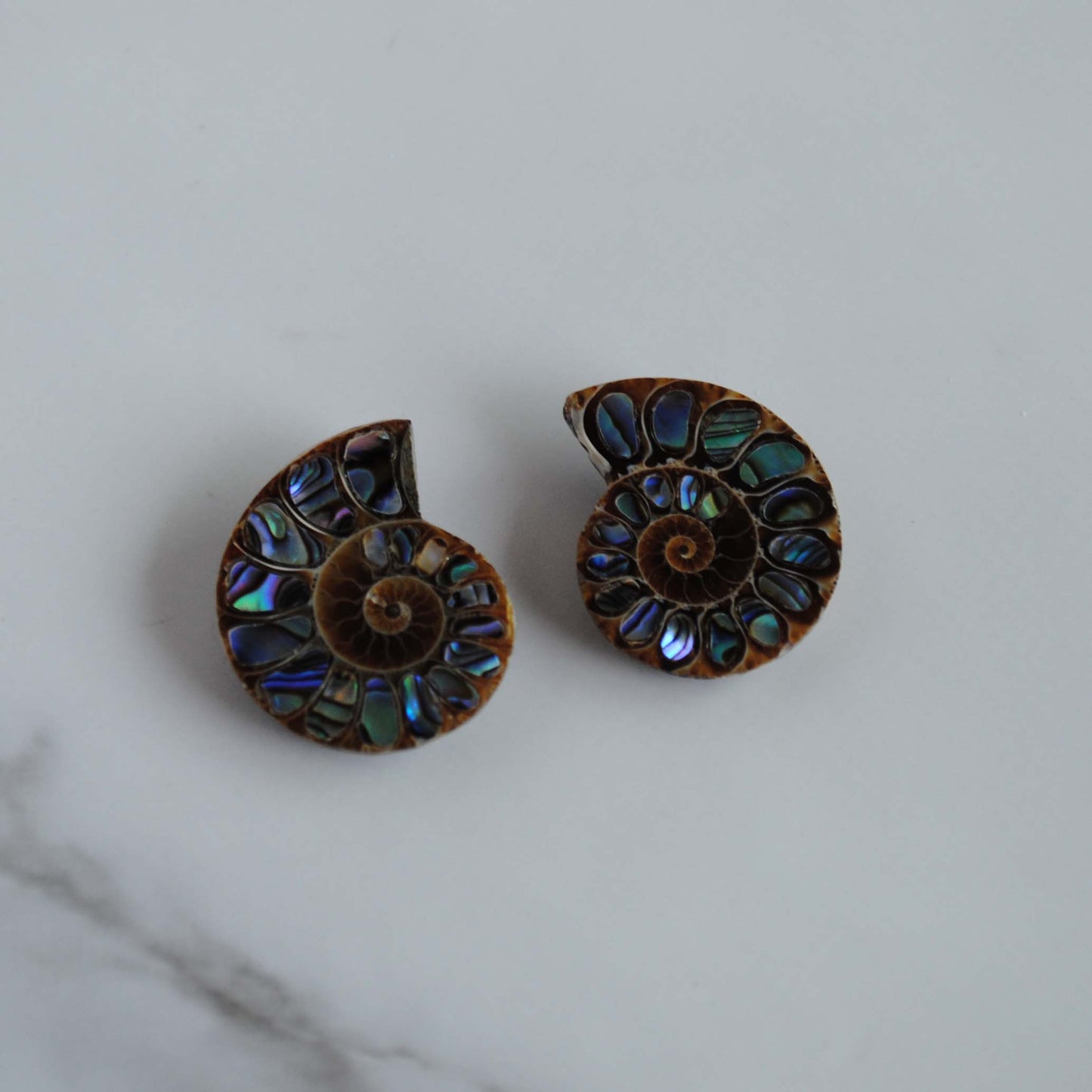 Ammonite fossils with abalone shell inlay