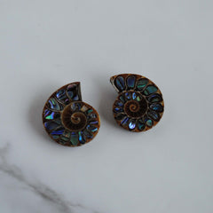 Ammonite fossils with abalone shell inlay
