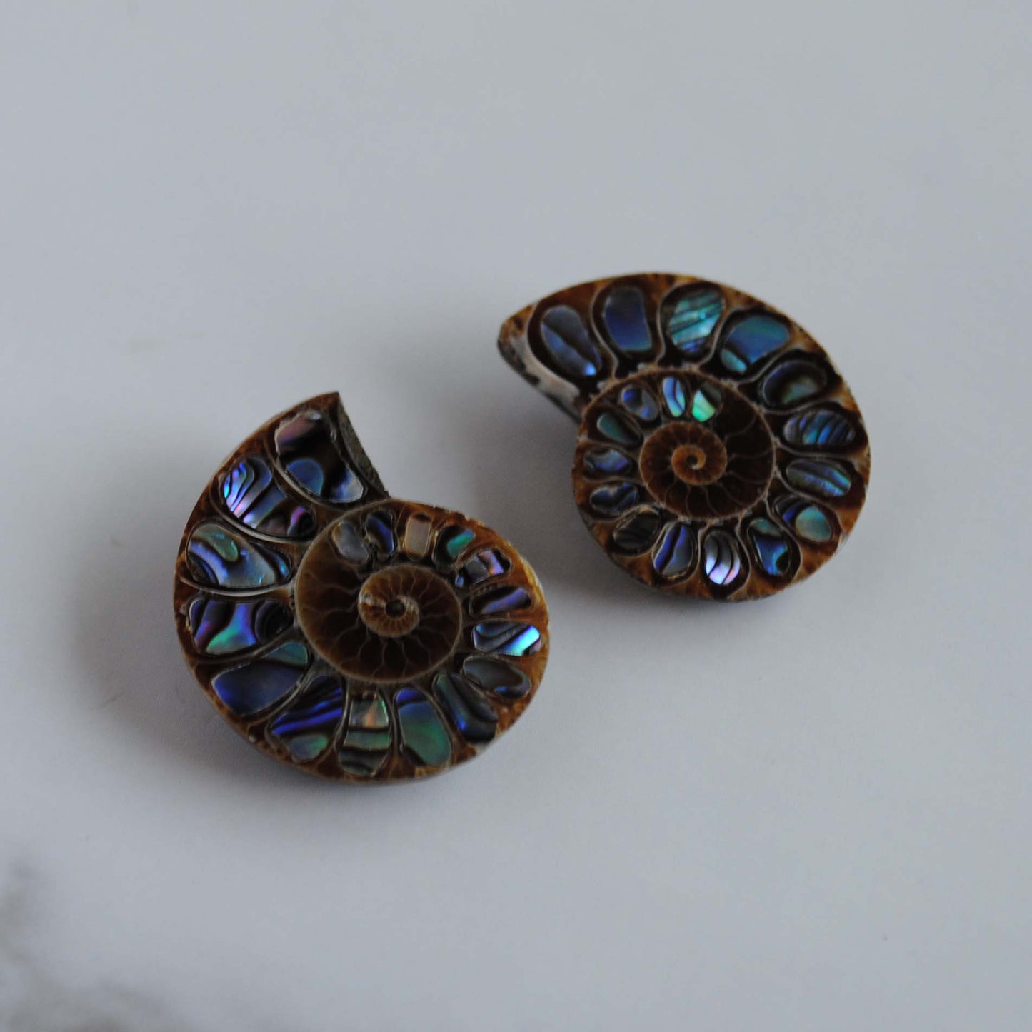 Ammonite fossils with abalone shell inlay
