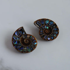 Ammonite fossils with abalone shell inlay