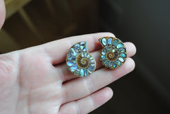 Ammonite fossils with abalone shell inlay