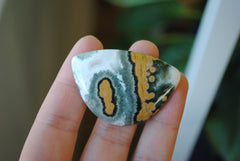 31x45mm Ocean Jasper cabochon