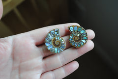 Ammonite fossils with abalone shell inlay