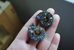 Ammonite fossils with abalone shell inlay