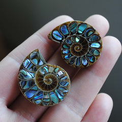 Ammonite fossils with abalone shell inlay