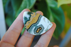 31x45mm Ocean Jasper cabochon