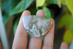 31x45mm Ocean Jasper cabochon