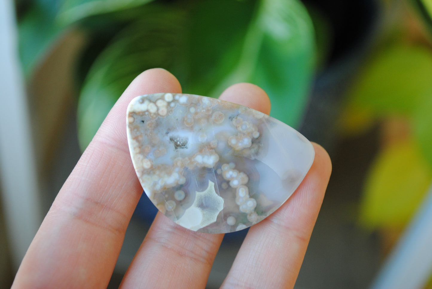31x45mm Ocean Jasper cabochon