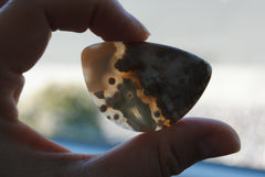 31x45mm Ocean Jasper cabochon