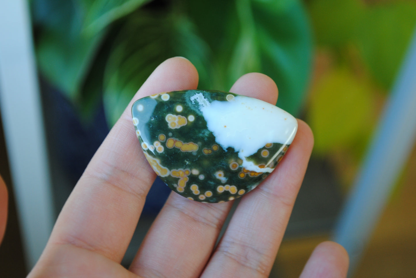31x45mm Ocean Jasper cabochon
