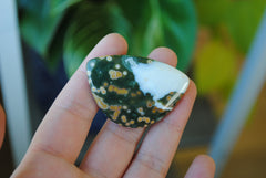 31x45mm Ocean Jasper cabochon