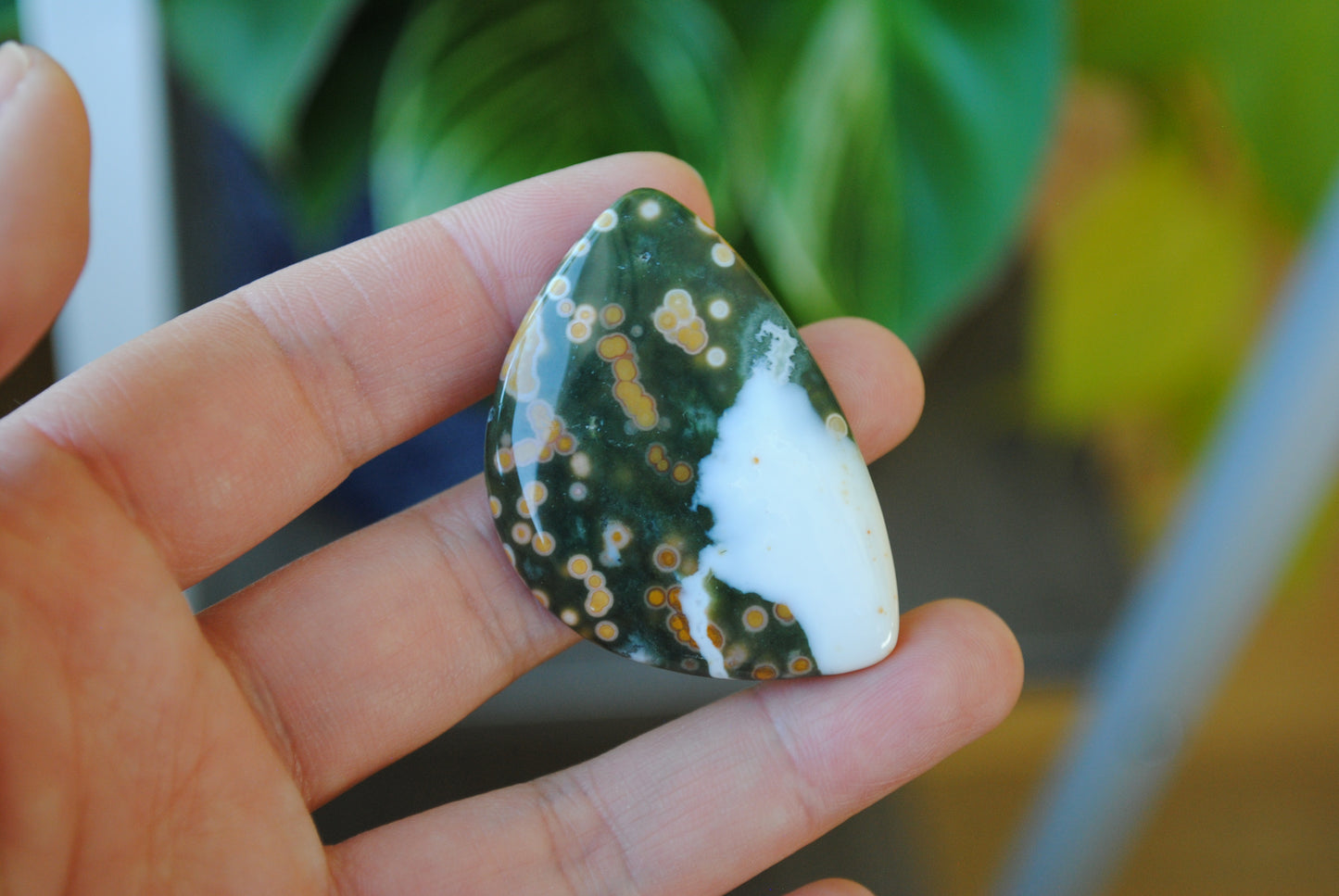 31x45mm Ocean Jasper cabochon