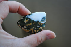 31x45mm Ocean Jasper cabochon