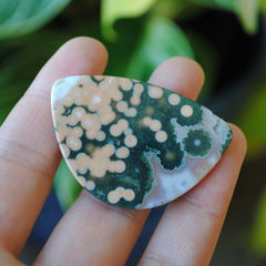 31x45mm Ocean Jasper cabochon
