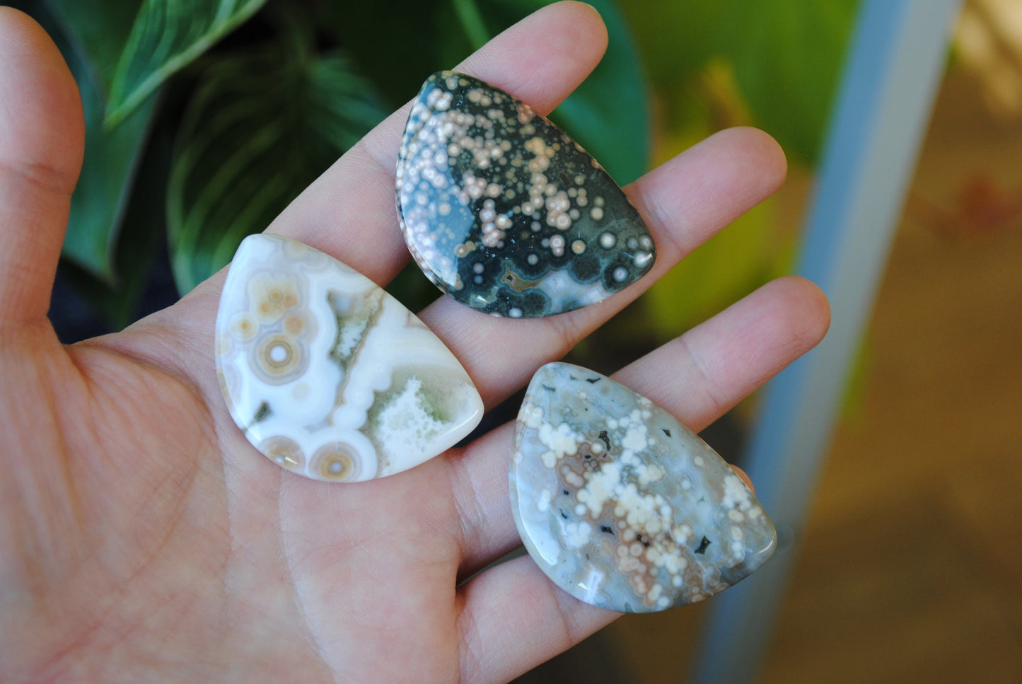 31x45mm Ocean Jasper cabochons (Lot A)