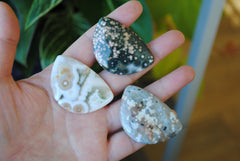 31x45mm Ocean Jasper cabochons (Lot A)