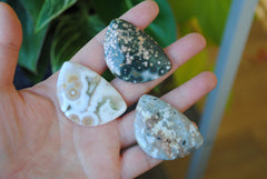 31x45mm Ocean Jasper cabochons (Lot A)