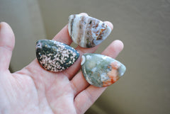 31x45mm Ocean Jasper cabochons (Lot B)