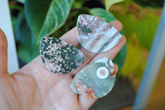 31x45mm Ocean Jasper cabochons (Lot B)
