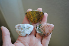 31x45mm Ocean Jasper cabochons (Lot C)