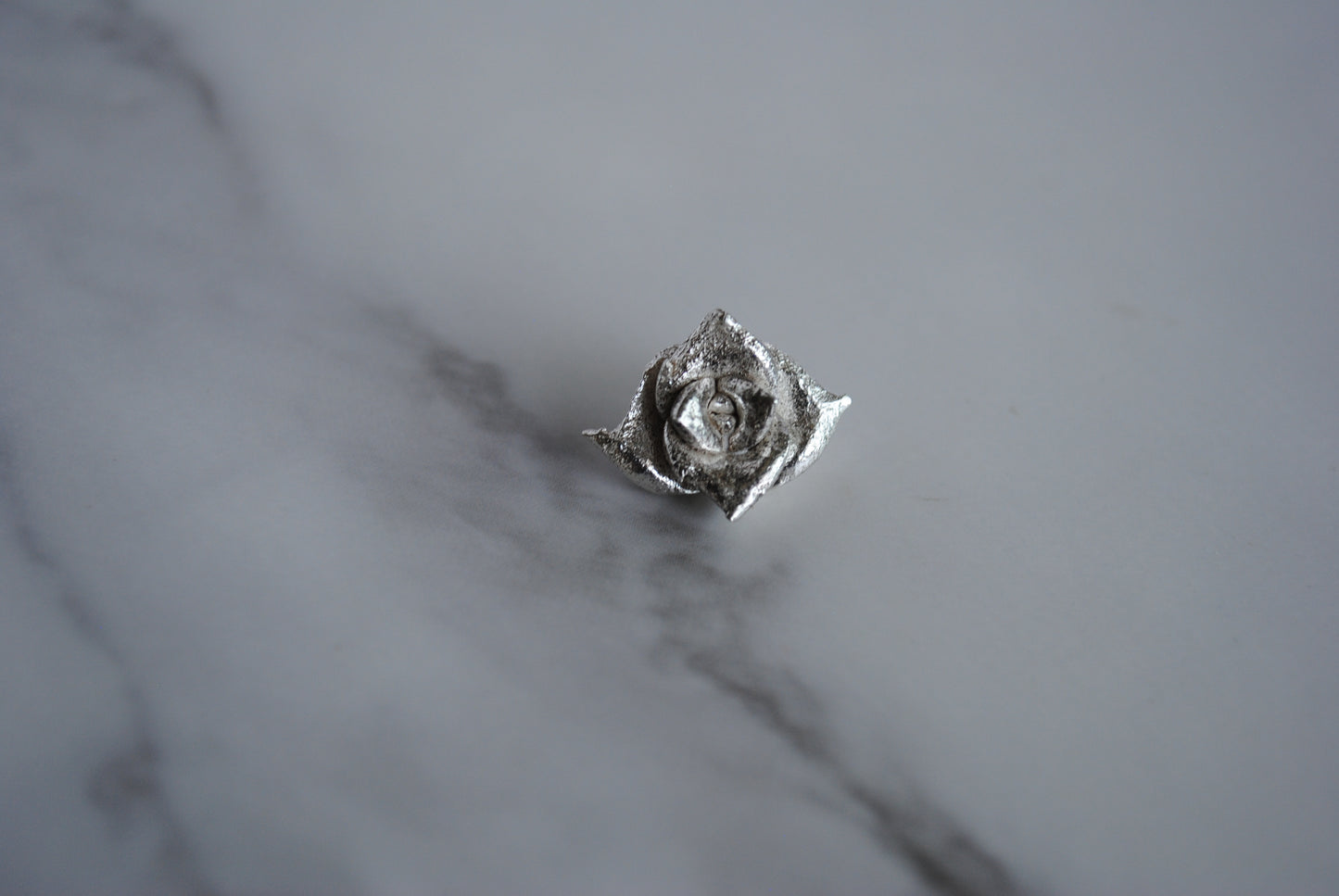 Sterling silver succulent casting