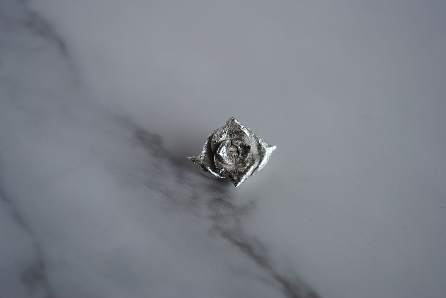 Sterling silver succulent casting