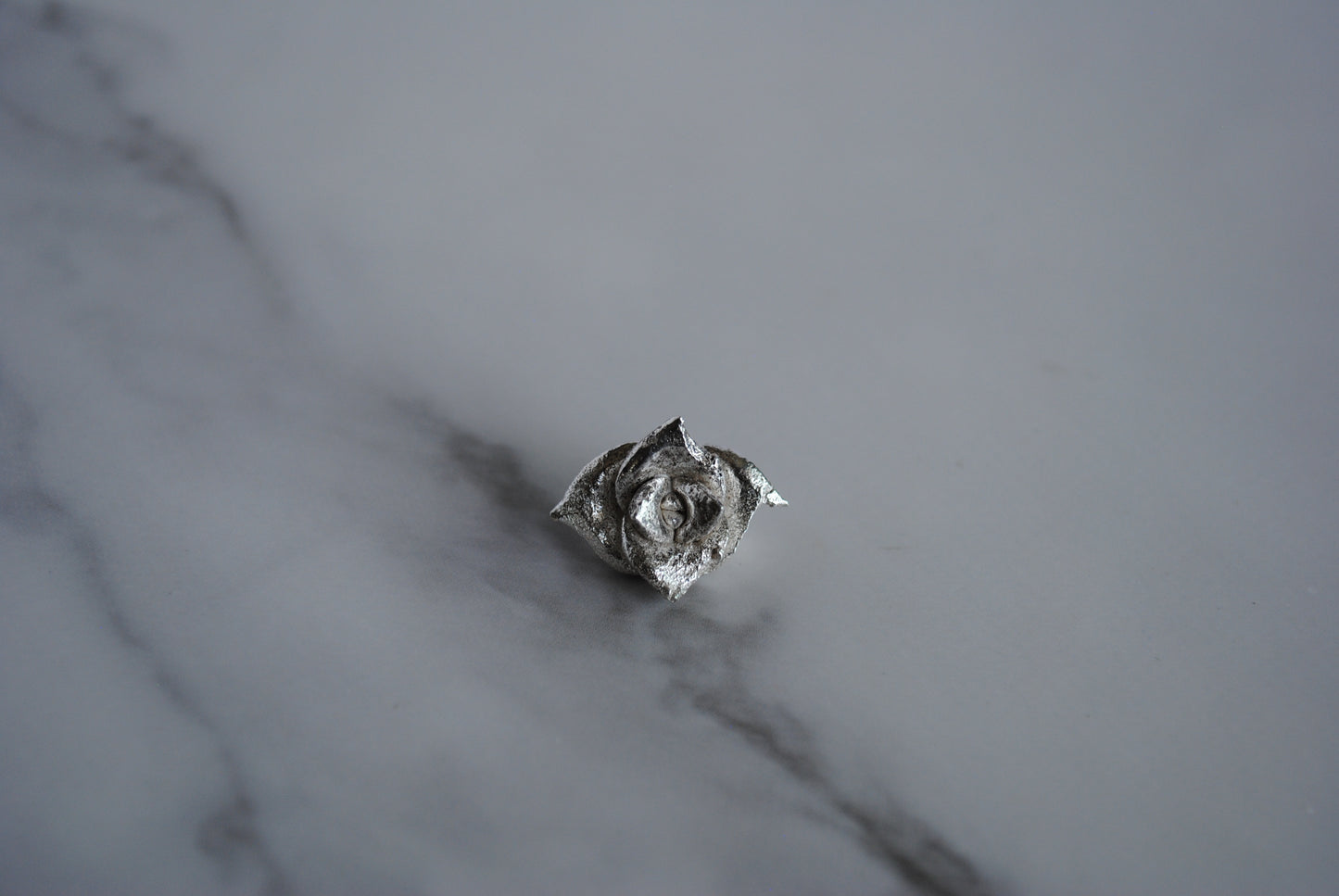 Sterling silver succulent casting