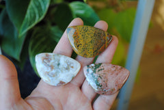 31x45mm Ocean Jasper cabochons (Lot C)