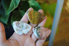 31x45mm Ocean Jasper cabochons (Lot C)