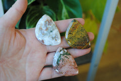 31x45mm Ocean Jasper cabochons (Lot C)