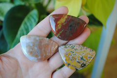31x45mm Ocean Jasper cabochons (Lot D)
