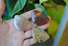 31x45mm Ocean Jasper cabochons (Lot D)