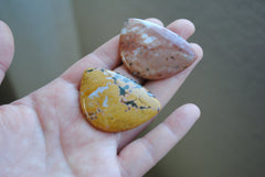 31x45mm Ocean Jasper cabochons (Lot E)