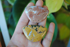 31x45mm Ocean Jasper cabochons (Lot E)