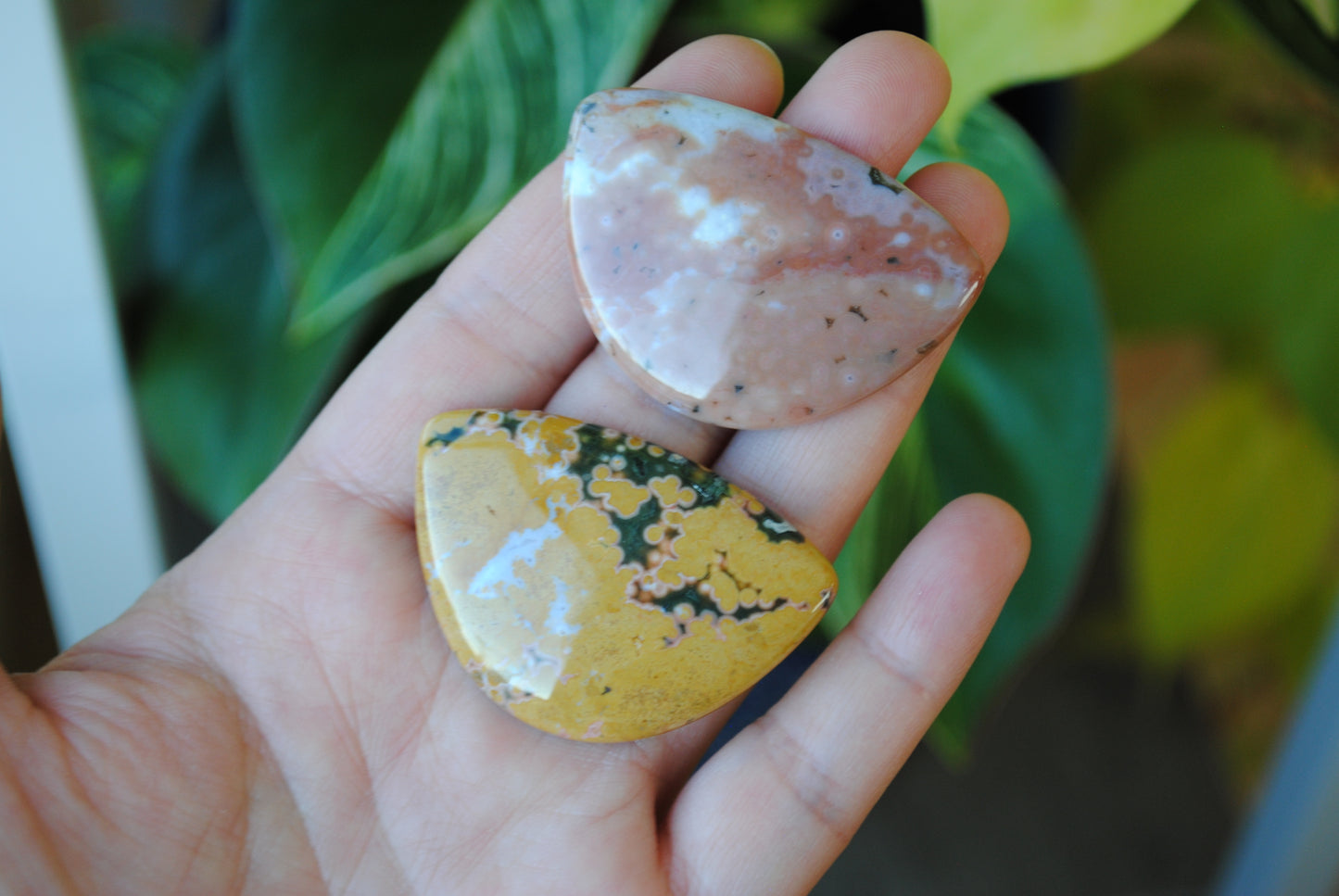 31x45mm Ocean Jasper cabochons (Lot E)