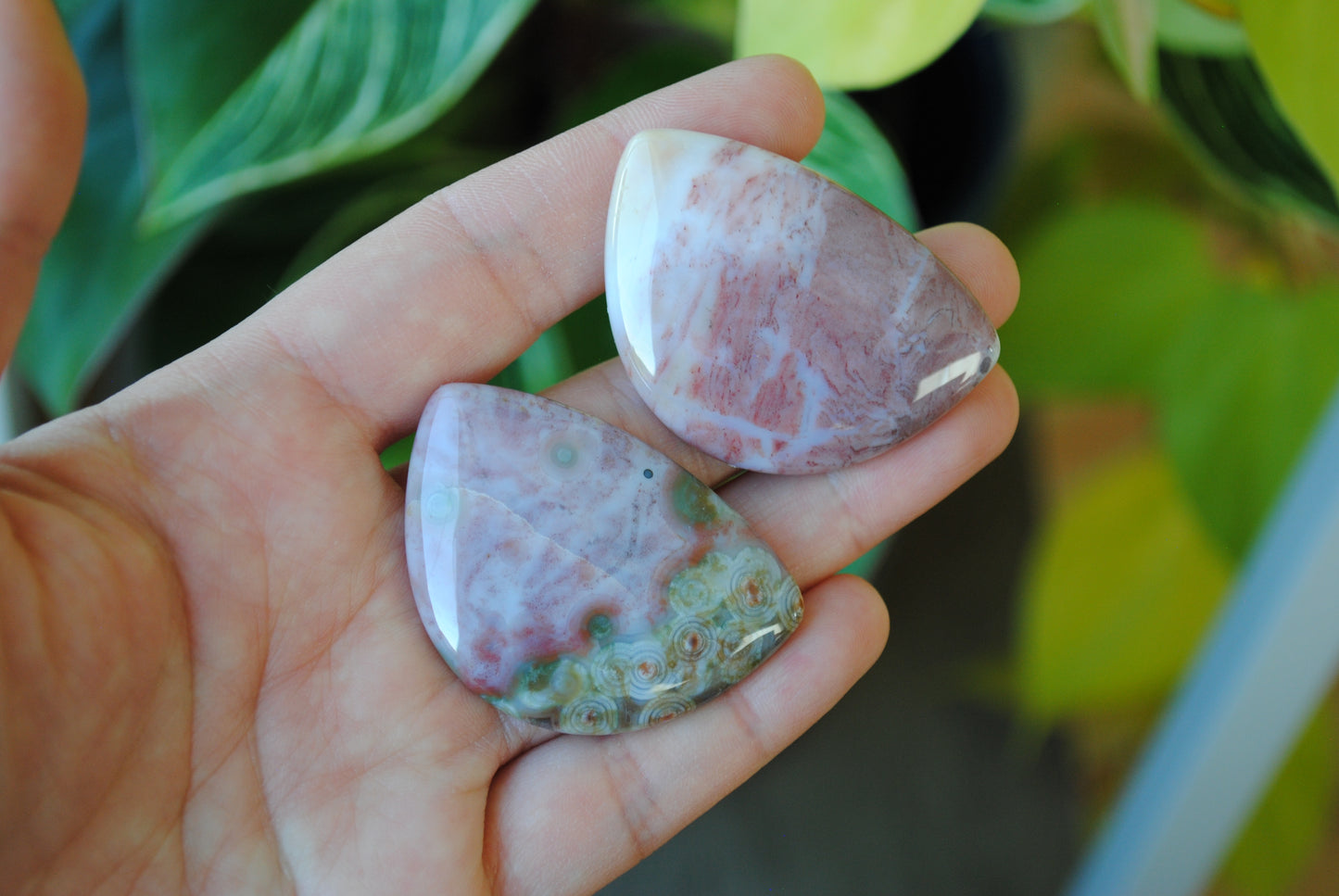 31x45mm Ocean Jasper cabochons (Lot G)