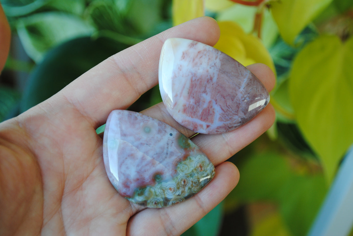 31x45mm Ocean Jasper cabochons (Lot G)