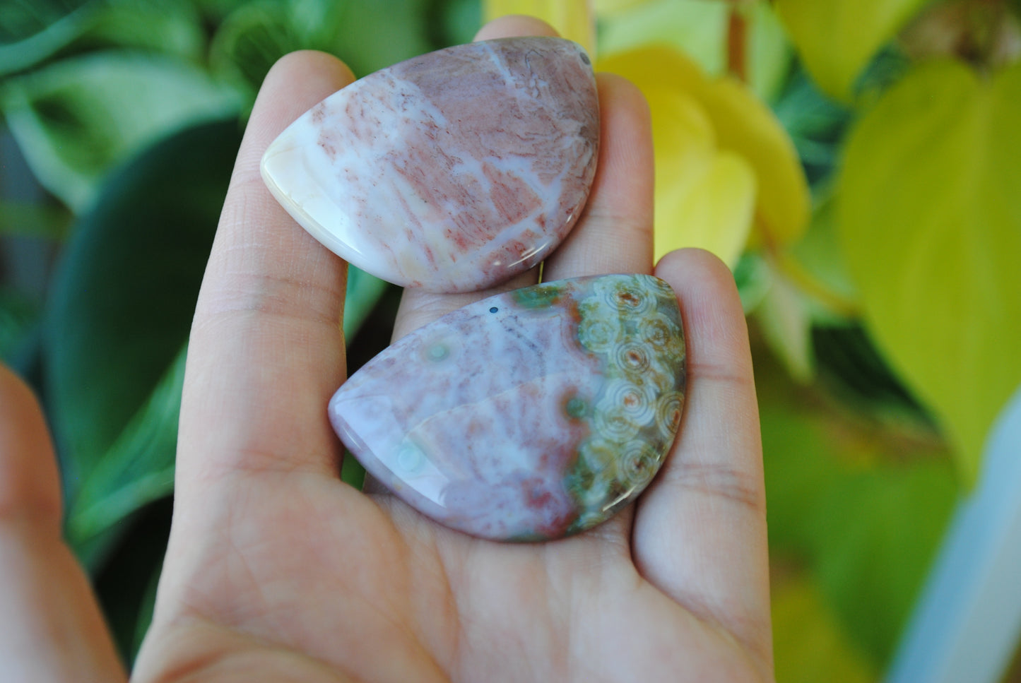 31x45mm Ocean Jasper cabochons (Lot G)