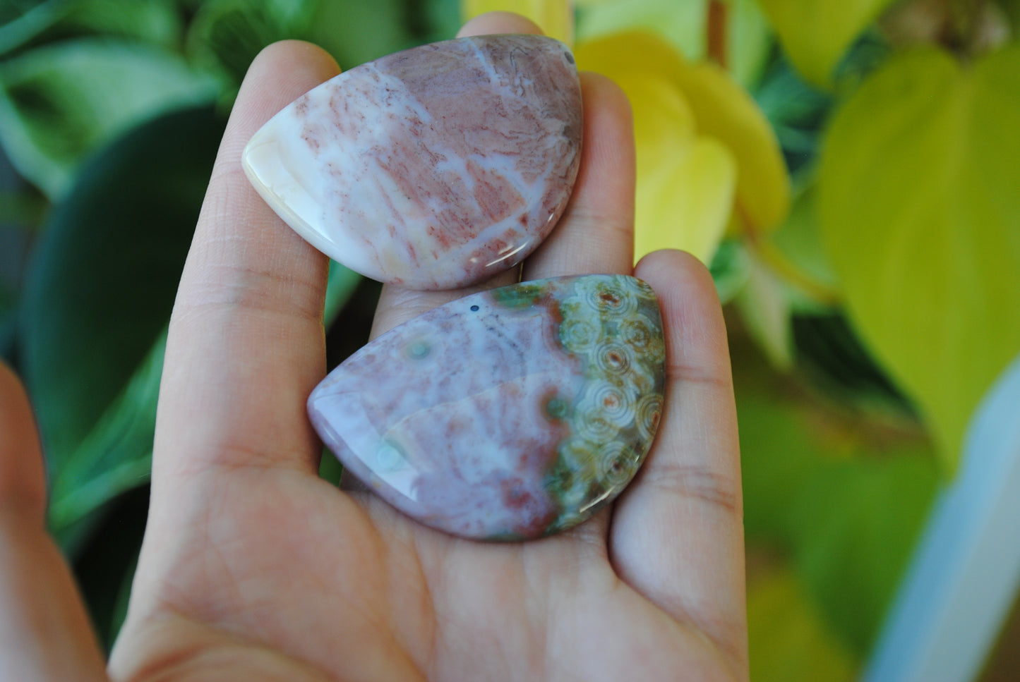 31x45mm Ocean Jasper cabochons (Lot G)