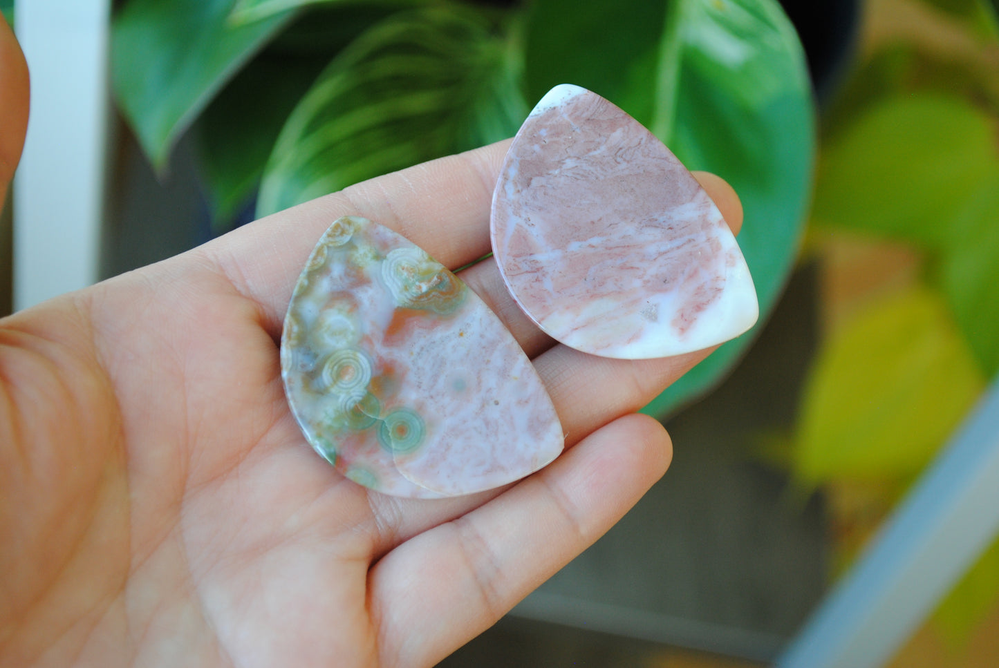31x45mm Ocean Jasper cabochons (Lot G)