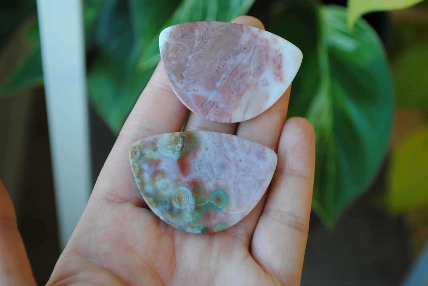 31x45mm Ocean Jasper cabochons (Lot G)