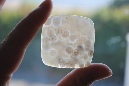 Square 40mm Ocean Jasper cabochon