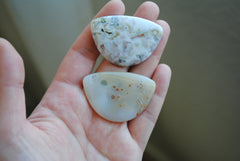 31x45mm Ocean Jasper cabochons (Lot H)